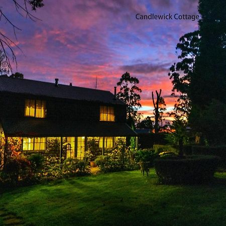 Observatory Cottages Mount Dandenong Εξωτερικό φωτογραφία