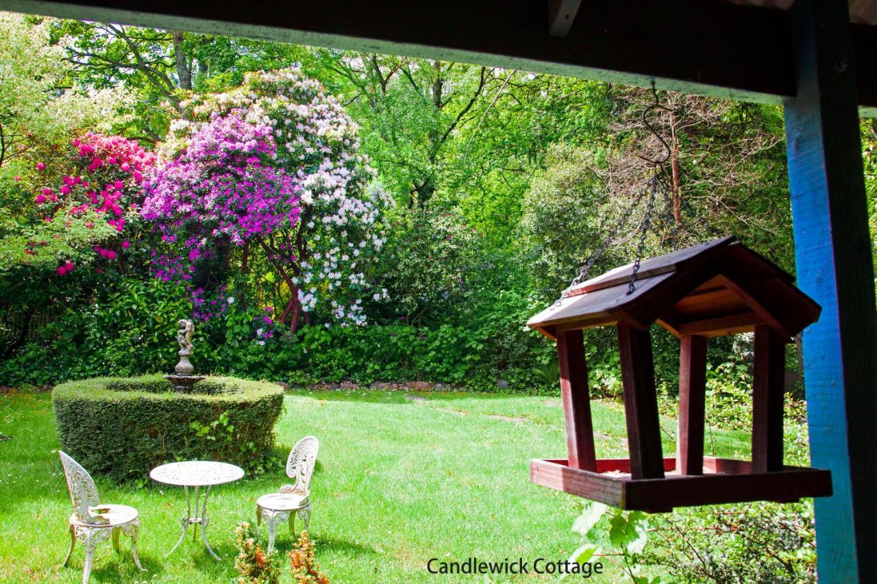 Observatory Cottages Mount Dandenong Εξωτερικό φωτογραφία