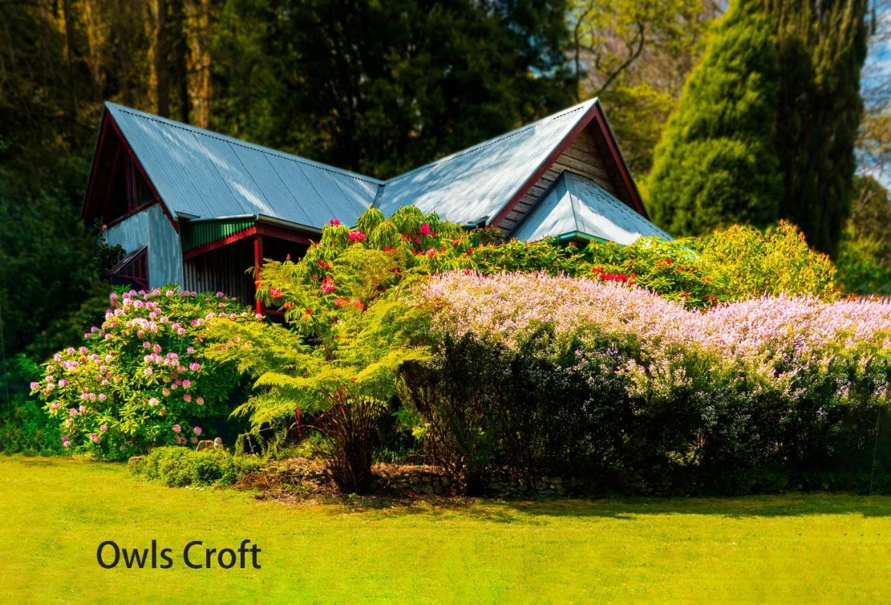 Observatory Cottages Mount Dandenong Εξωτερικό φωτογραφία