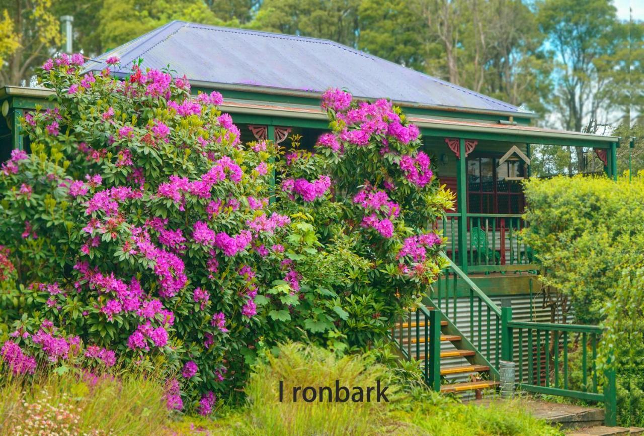 Observatory Cottages Mount Dandenong Εξωτερικό φωτογραφία