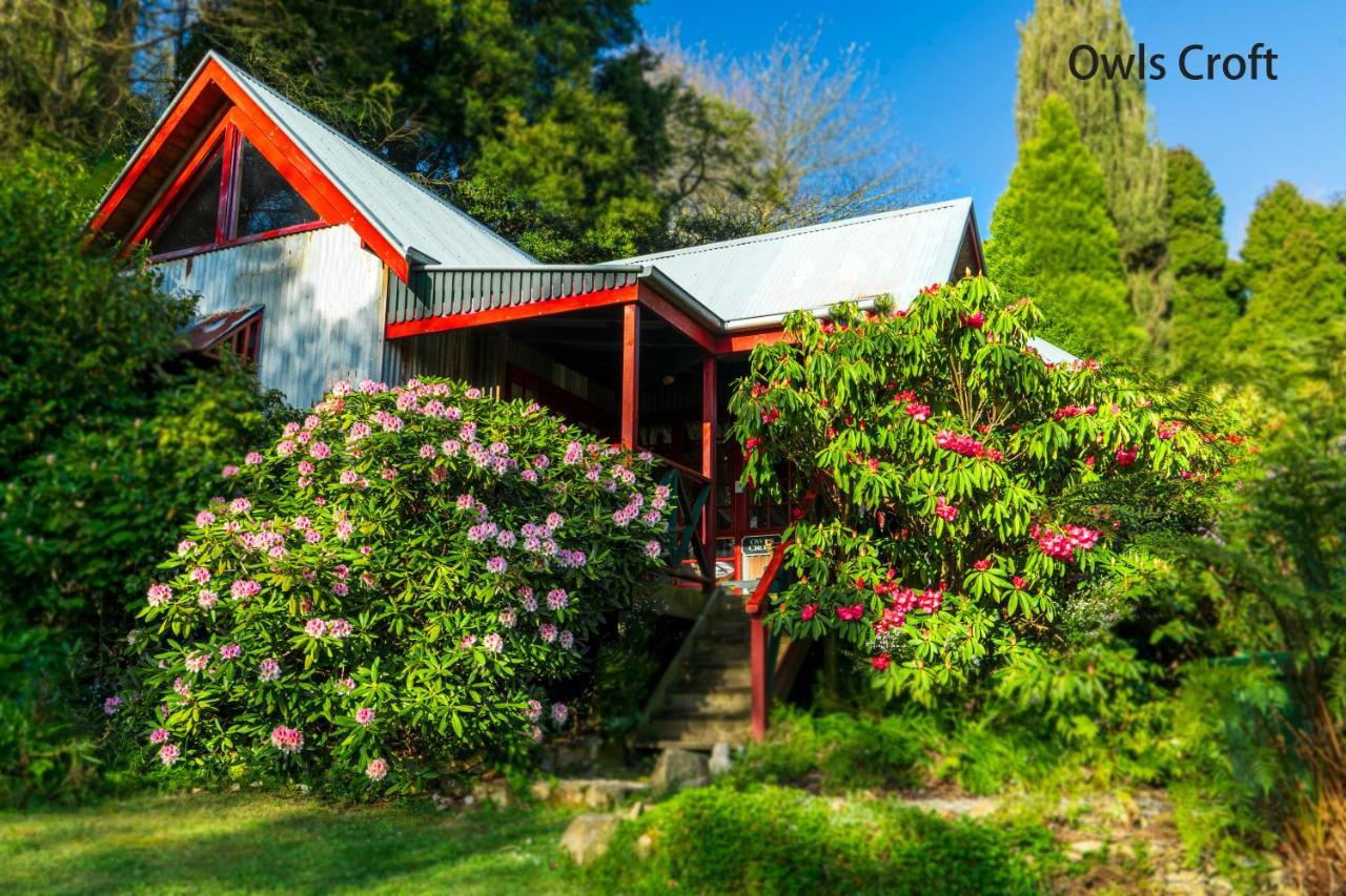 Observatory Cottages Mount Dandenong Εξωτερικό φωτογραφία