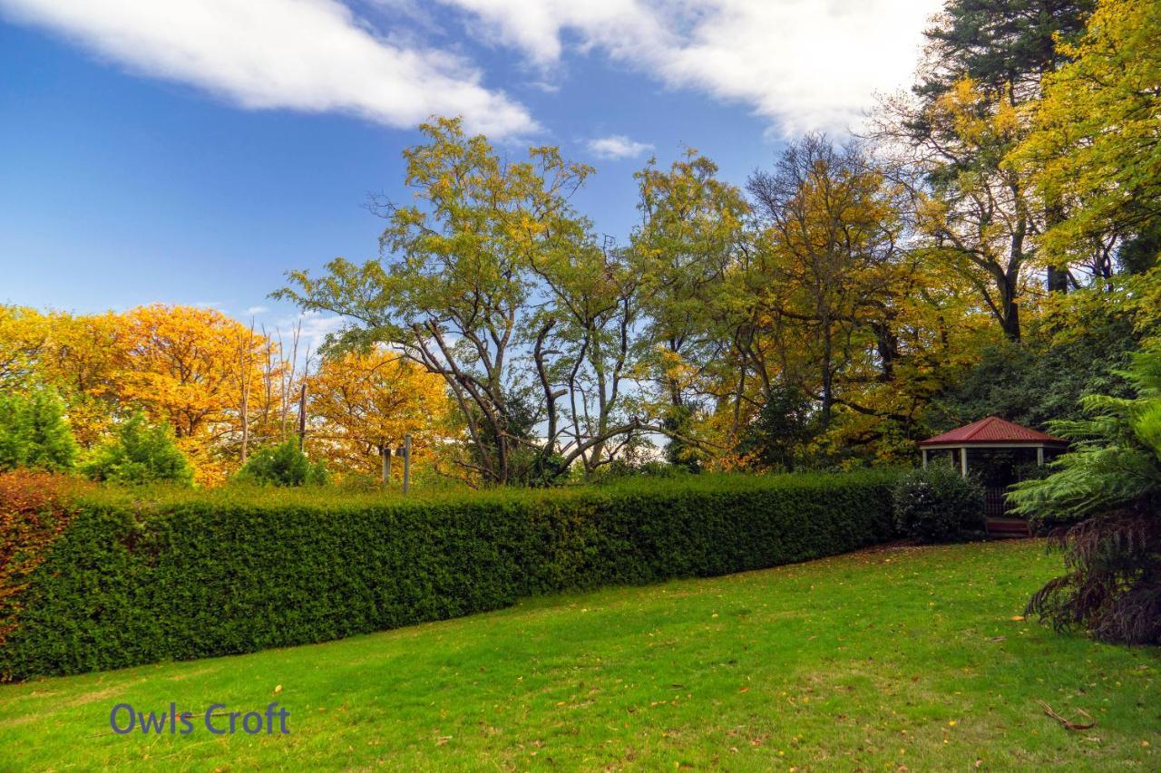 Observatory Cottages Mount Dandenong Εξωτερικό φωτογραφία