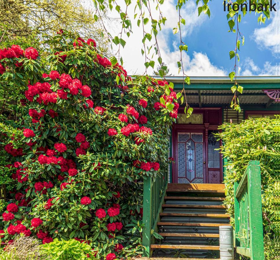 Observatory Cottages Mount Dandenong Εξωτερικό φωτογραφία