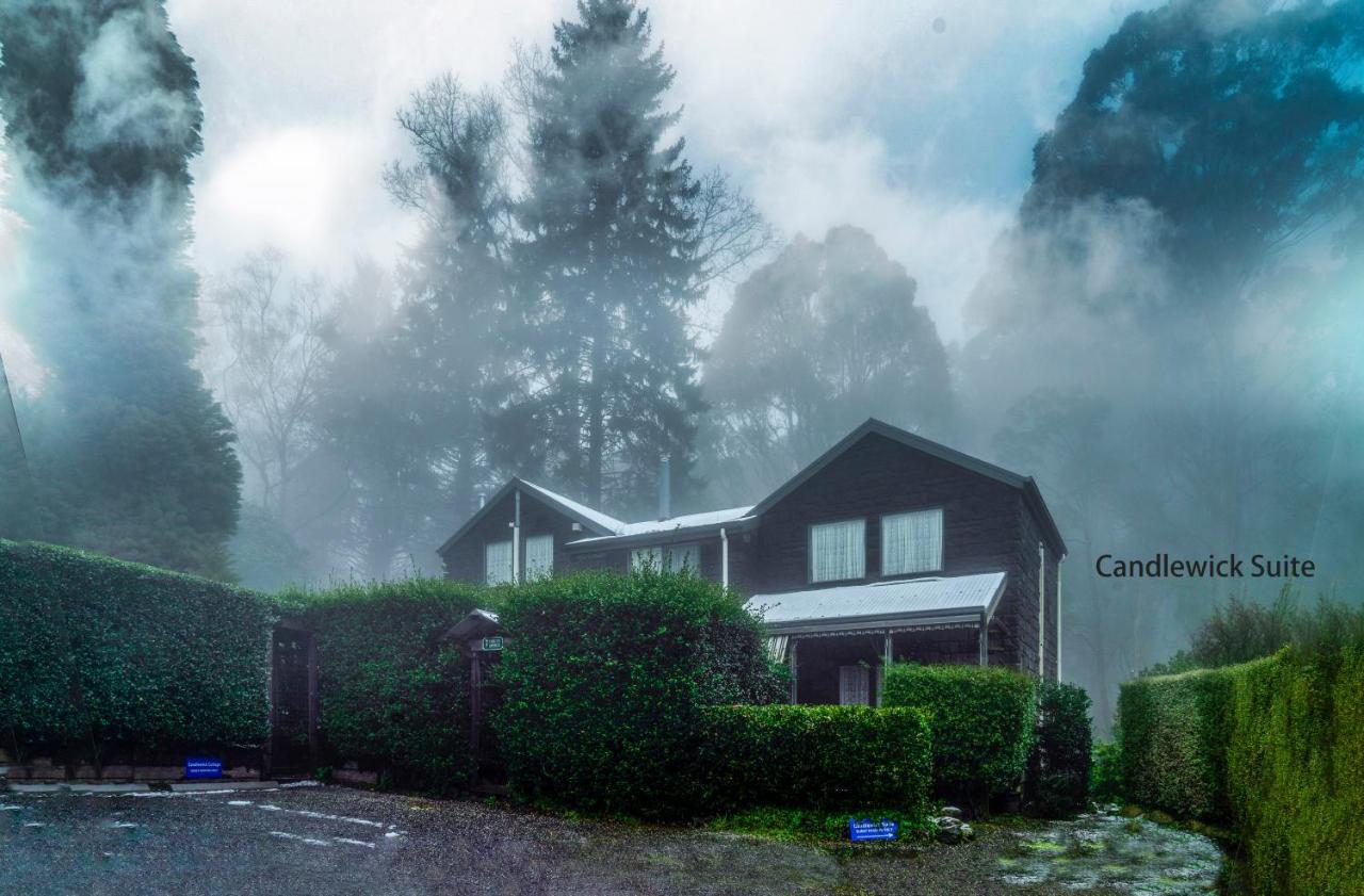 Observatory Cottages Mount Dandenong Εξωτερικό φωτογραφία