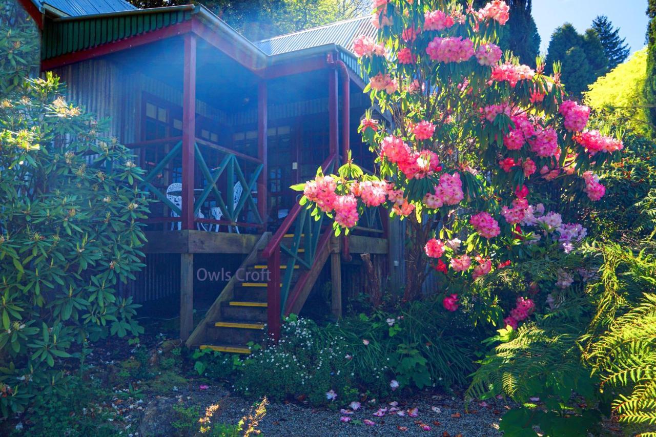 Observatory Cottages Mount Dandenong Εξωτερικό φωτογραφία