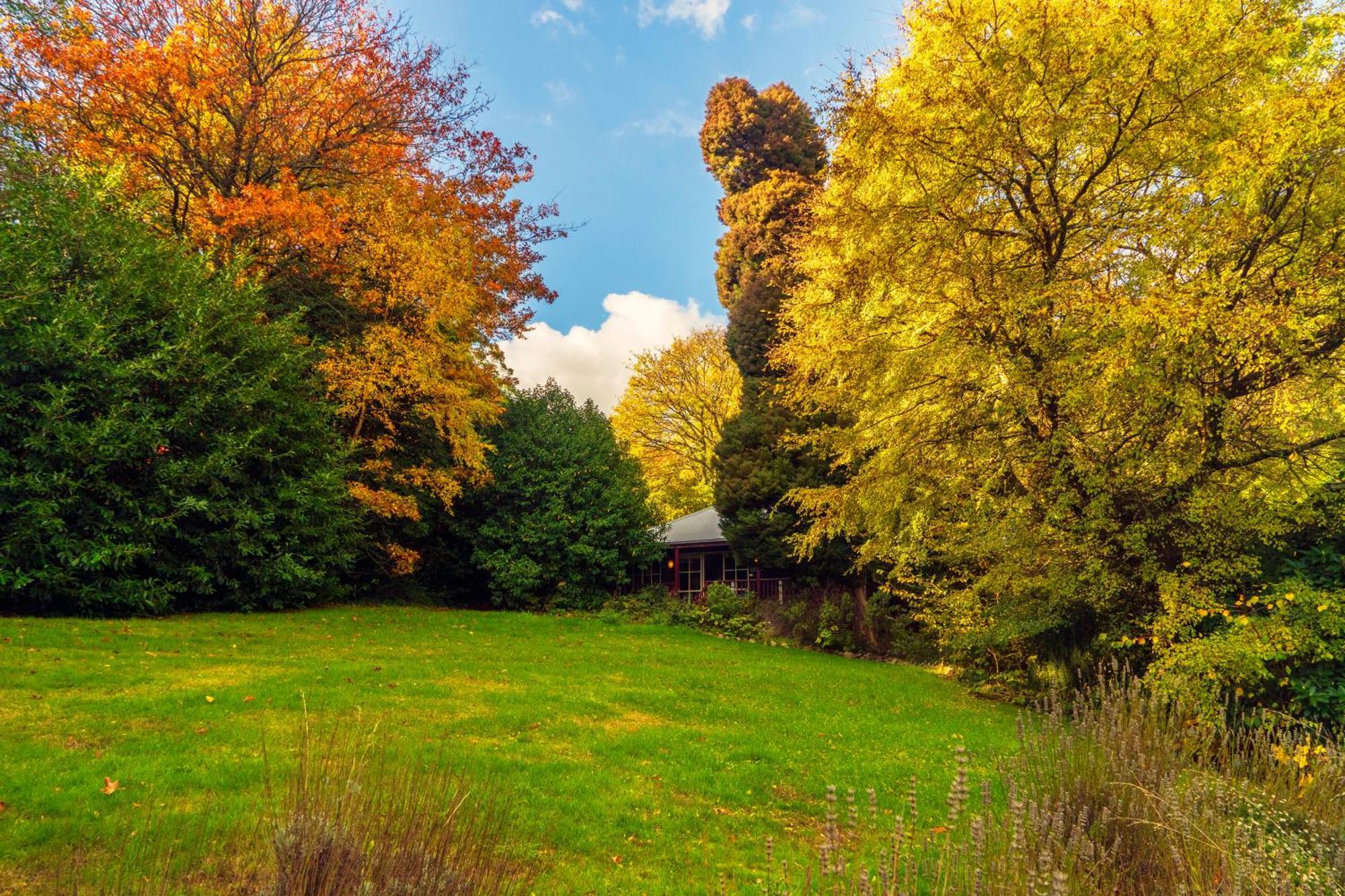 Observatory Cottages Mount Dandenong Δωμάτιο φωτογραφία